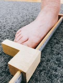 身体の土台である足に注目して健康を見直す靴育を実施